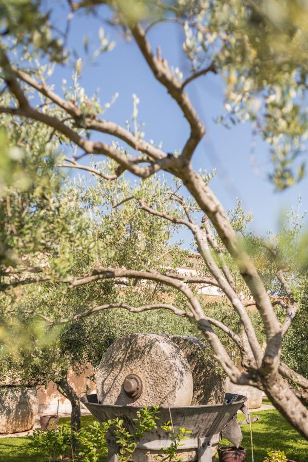 Bed and Breakfast Bb Olive Seget  Exterior foto