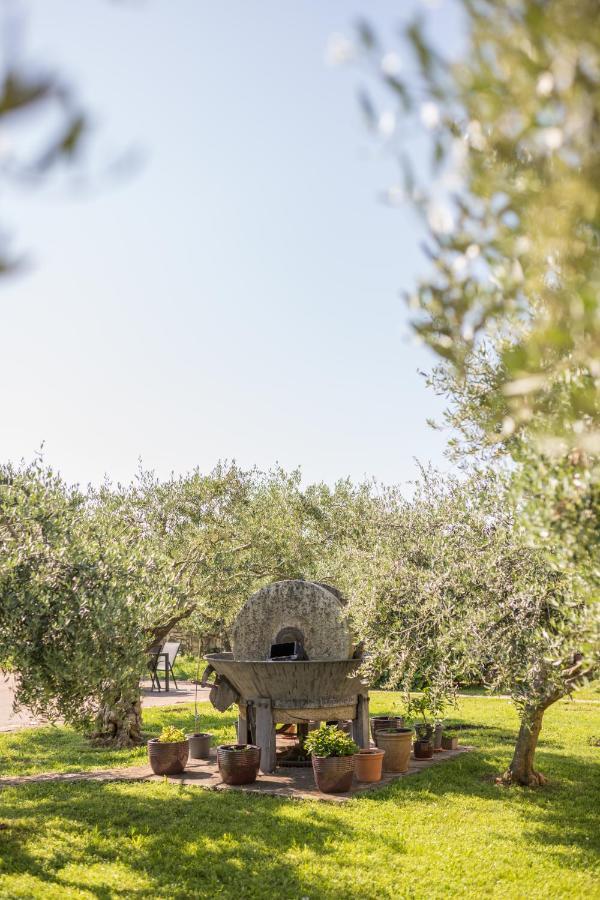 Bed and Breakfast Bb Olive Seget  Exterior foto
